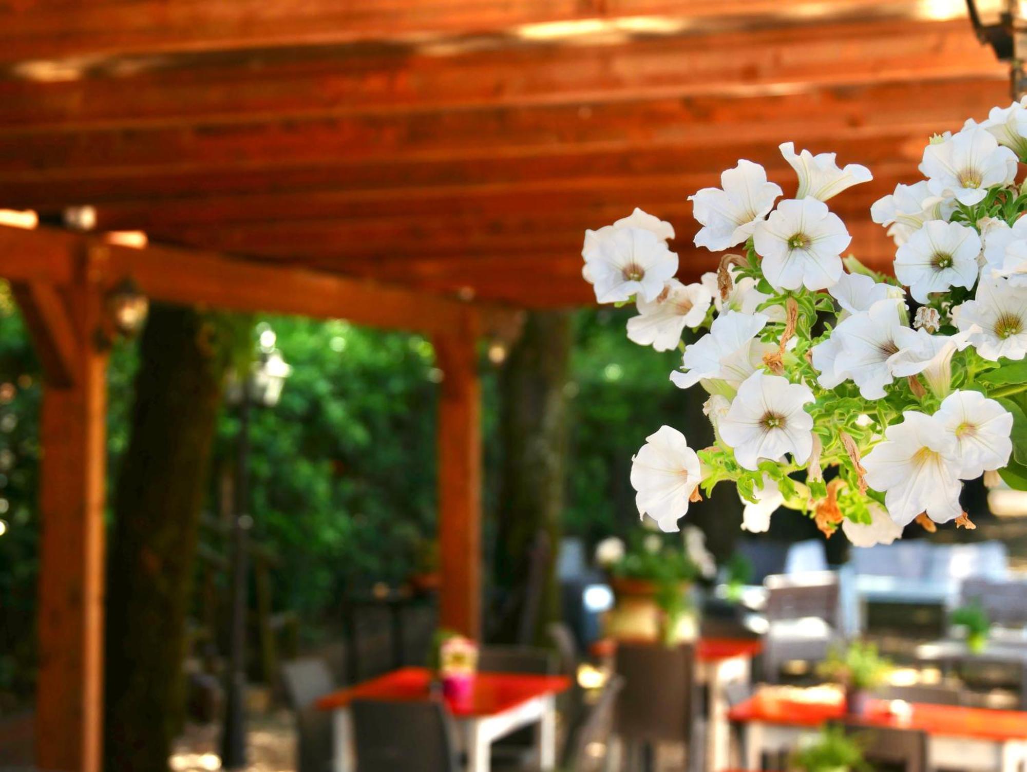 L'Antico Granaio Paliano B&B 외부 사진