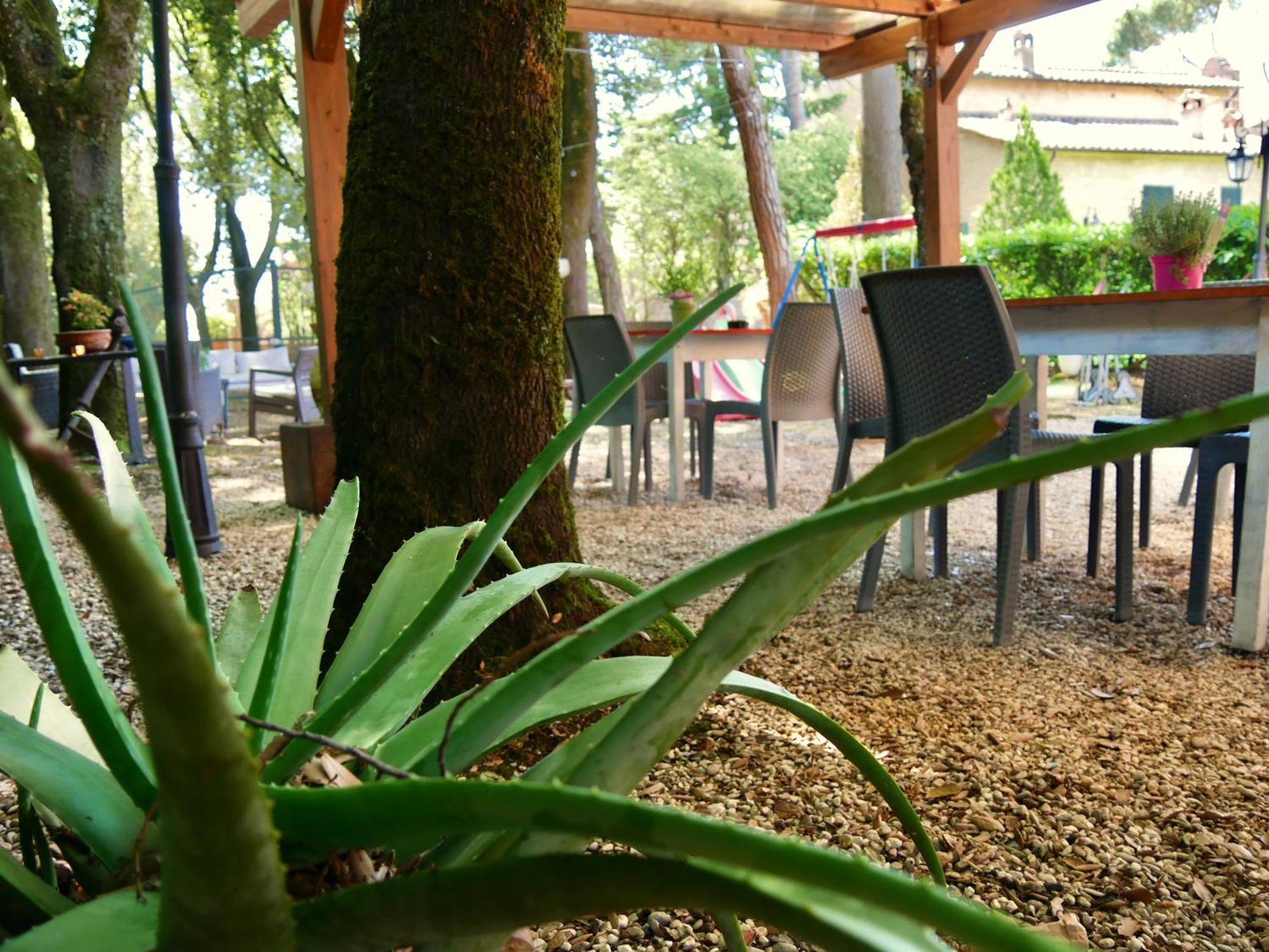 L'Antico Granaio Paliano B&B 외부 사진