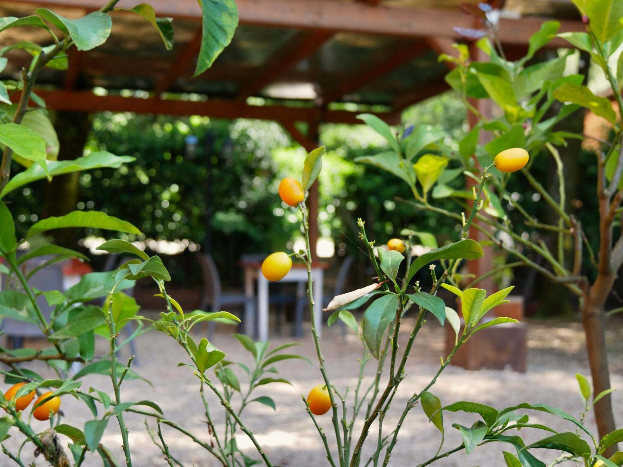 L'Antico Granaio Paliano B&B 외부 사진