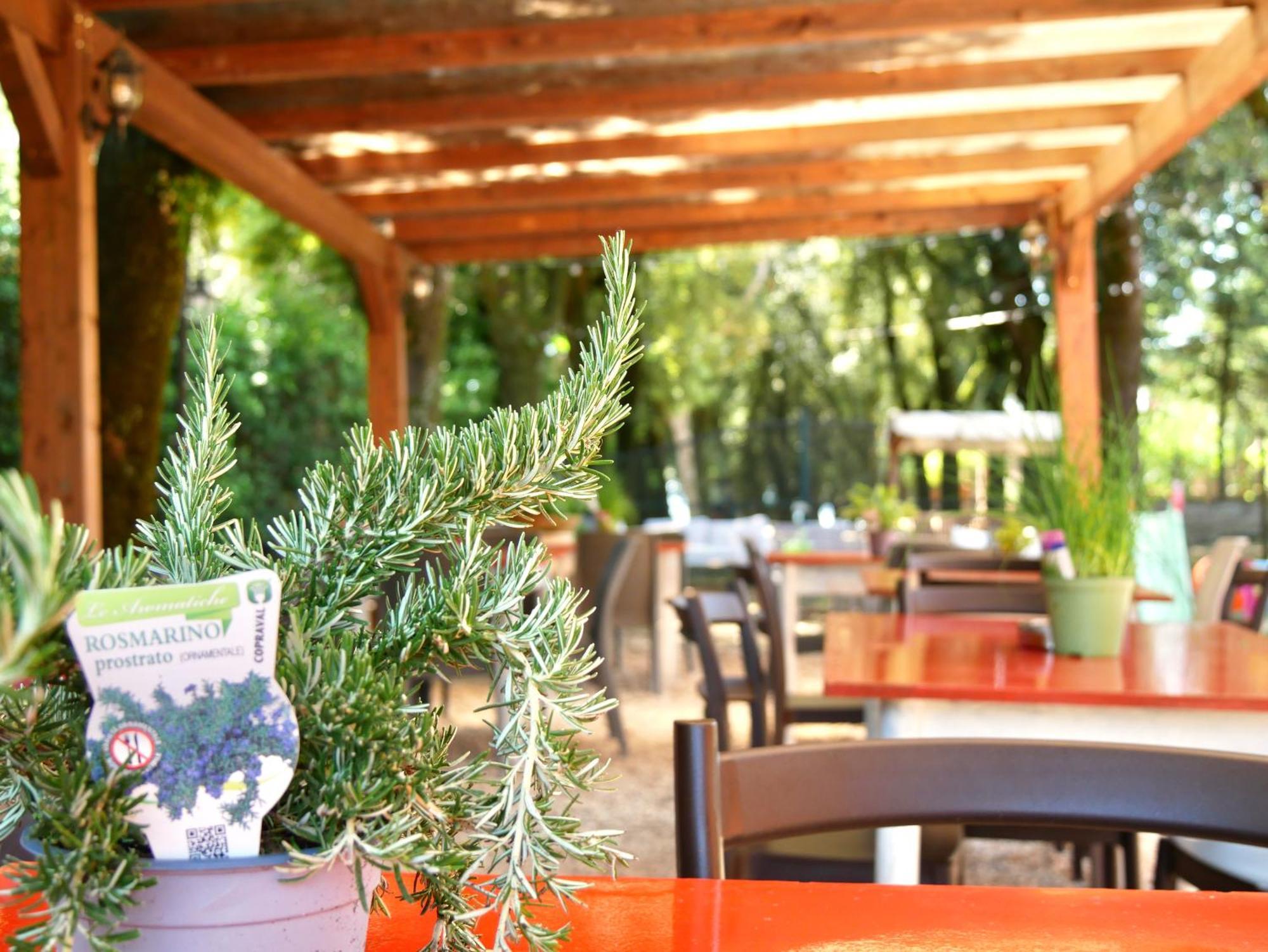 L'Antico Granaio Paliano B&B 외부 사진